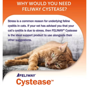 Feliway Cystease Urinary Tract Support Capsules For Cats - 30 Capsules - Image 3