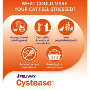 Feliway Cystease Urinary Tract Support Capsules For Cats - 30 Capsules - Image 4