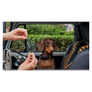 Rescue Remedy Pets Dropper - 10ml - Image 4