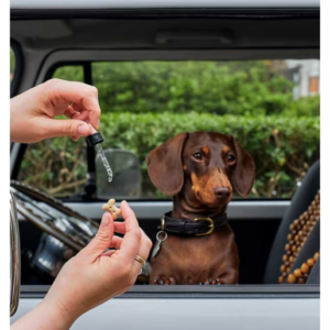 Rescue Remedy Pets Dropper - 10ml - Image 5