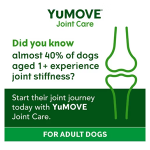 YuMOVE® Joint Care for Adult Dogs - 80 Tasty Tablets - Image 4